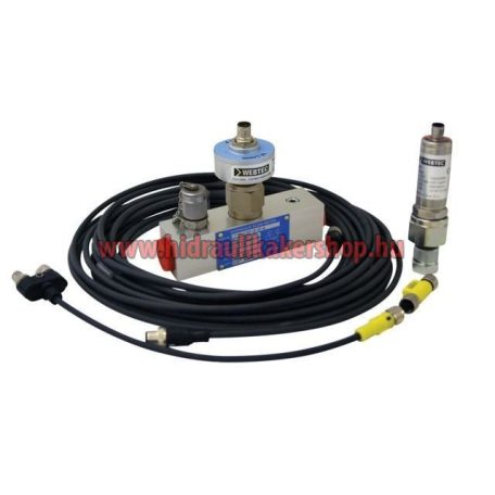 DIGITALIS-MEROBERENDEZES-KOFFERBEN