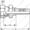 DN12-1/2-BSP-COLOS-MENET-HOLLANDERES-KIVITEL-FORDI