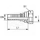 DN06-9/16-HOLLANDERES-ORFS-COLOS-MENETTEL-LAPRA-TO