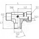 2-BSP-COLOS-T-IDOM-KULSO/KULSO/BELSO-MENETTEL