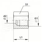 TN81-28L/HOLLANDER-DN28-L-36X2
