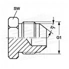 1/2-UNF-COLOS-ZARO-DUGO